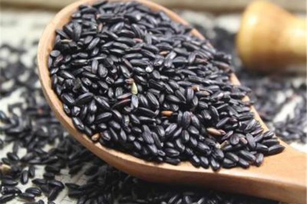 血糖高可以吃黑米粥吗