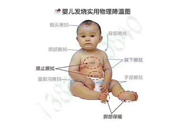 宝宝发烧可以吃鸡肉吗