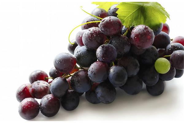 宝宝发烧可以吃葡萄吗