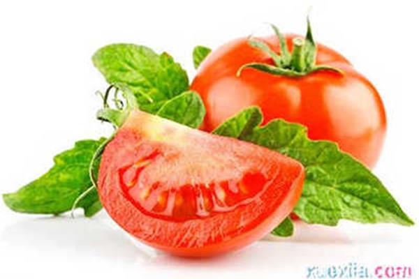 孕妇可以吃西红柿吗早期