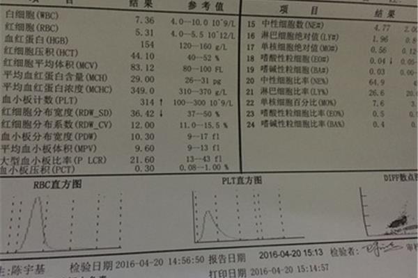 血常规下午可以查吗